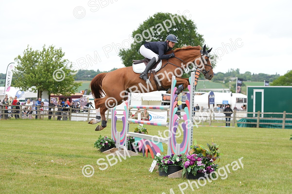 SBM_05319 - Class 201 - British Horse Feeds Speedi Beet Horse of the Year Show Grade  C