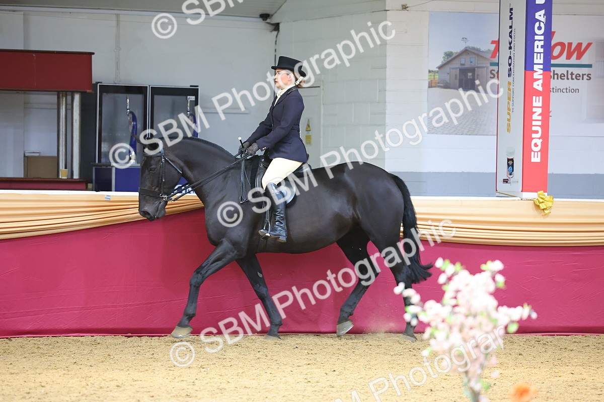 SBM_23946 - Class 905 - Supreme Final - Ridden Veteran