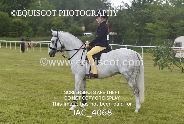 JAC_4068 - 40CM WORKING HUNTER