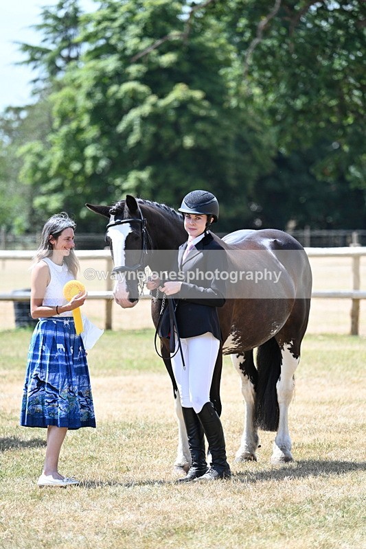WJ7_2038 - Class 4a Prettiest Mare 14.2hh and over hand