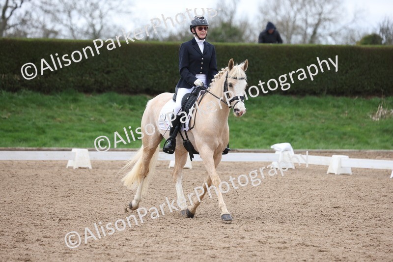 20260301-0458 - Class 3 - Novice 4