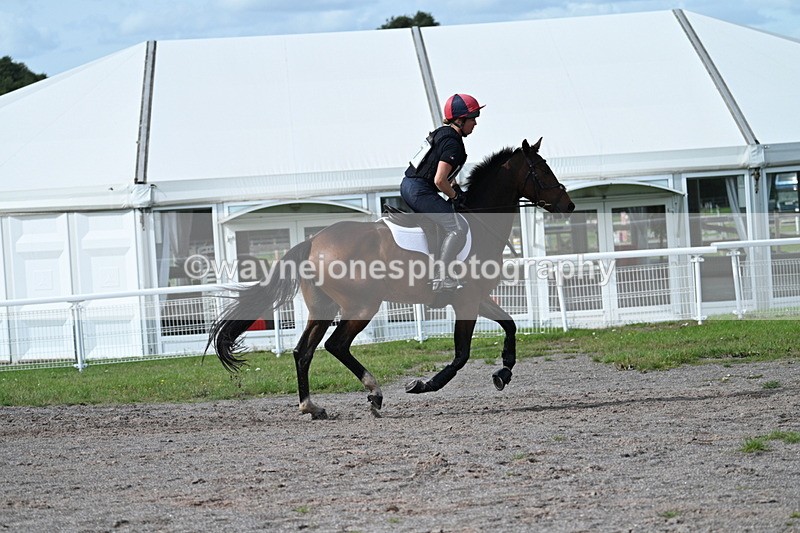 WJ7_2393 - Time 13:55 to 14:05