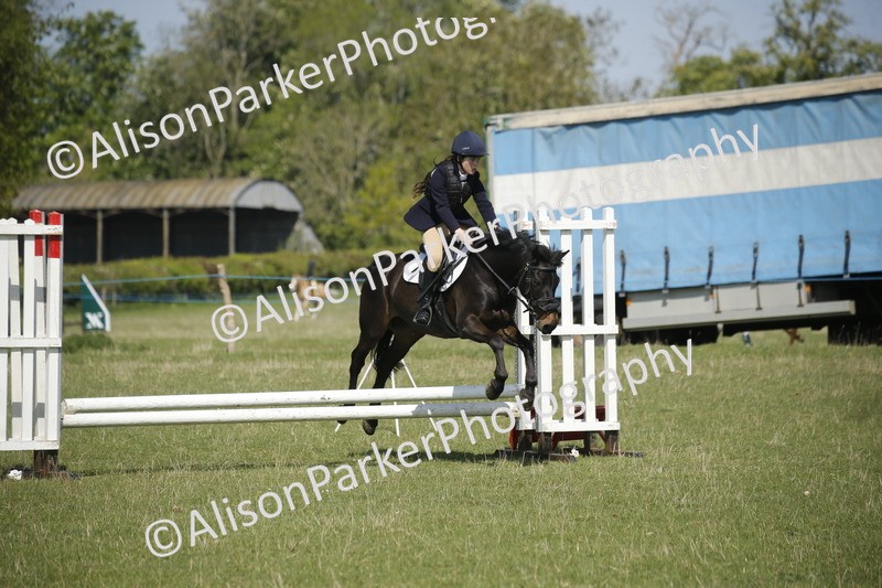 20250427-2095 - Class 13 - Novice Jumping 60cm