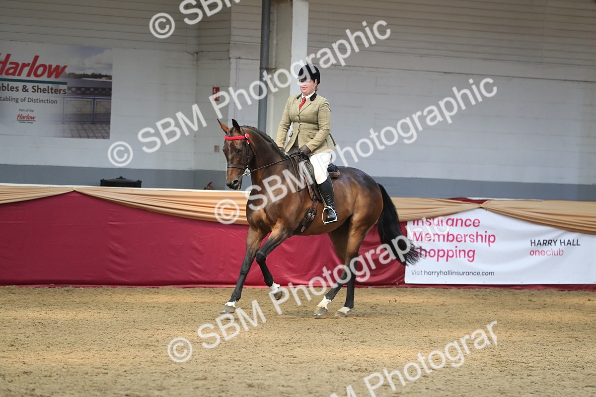 SBM_12381 - Class 108 Ridden Retired Racehorse- Pre Judging