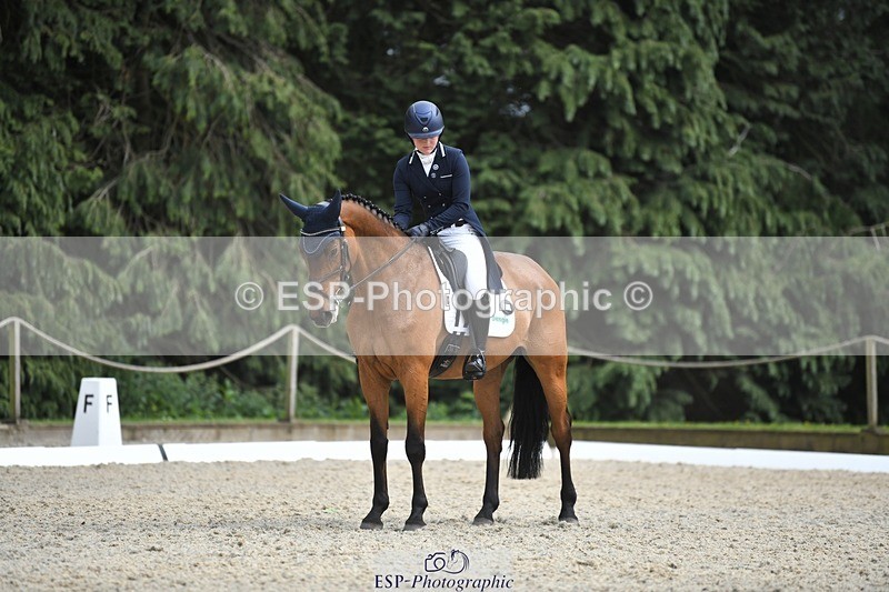 230525-154821-03315 - 329-VINTAGE_GRAFFITI-Alice_Hallows-WEDTrotUp+DR