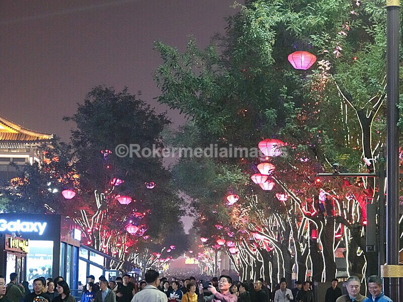 CHINA__0854 - China 2019