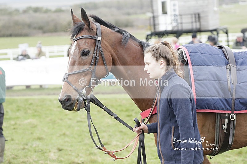 PtP 260323 0538 - New Forest Hounds Point-to-Point Larkhill 26/03/23
