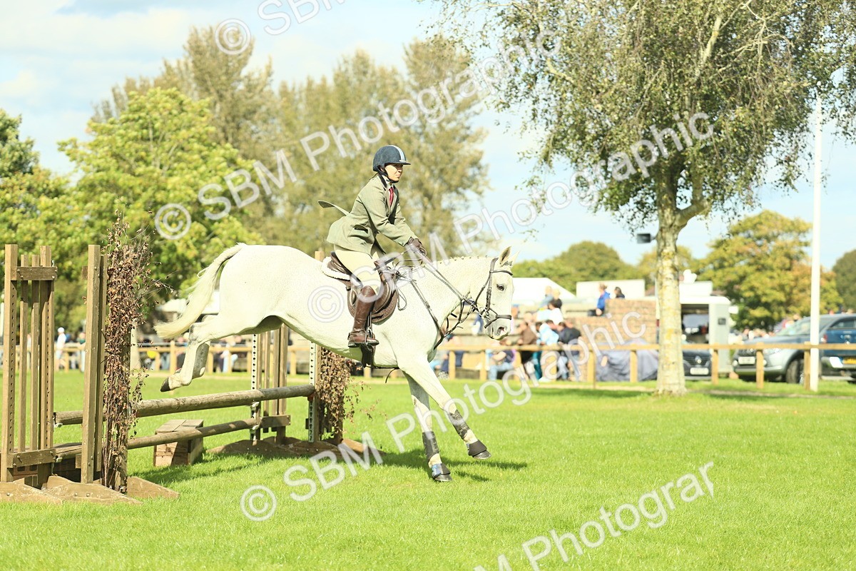 SBM_47909 - S32 - Novice & Newcomers Working Hunter