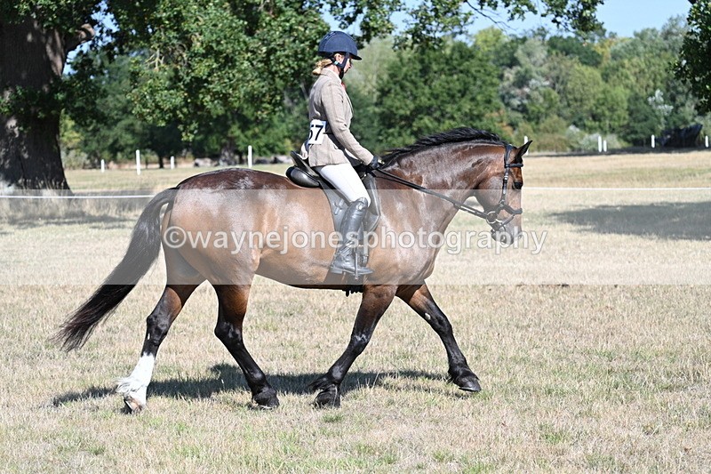 WJ7_3946 - Class 9 Mountain & Moorland Ridden