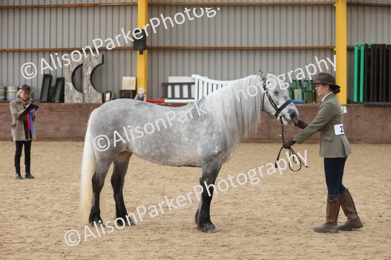 20251109-1033 - Class 28 - Mares 4 Years and over