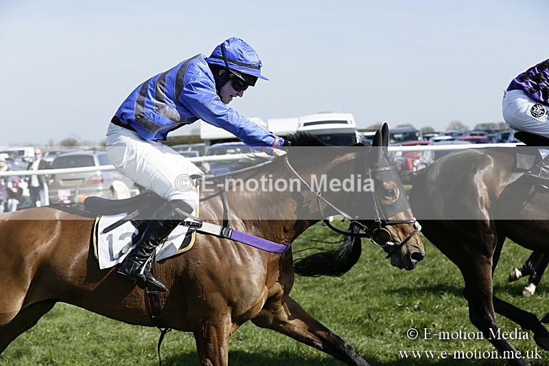 PtP 260317 223 - Mendip Farmers Point-to-Point Ston Easton 26/03/17