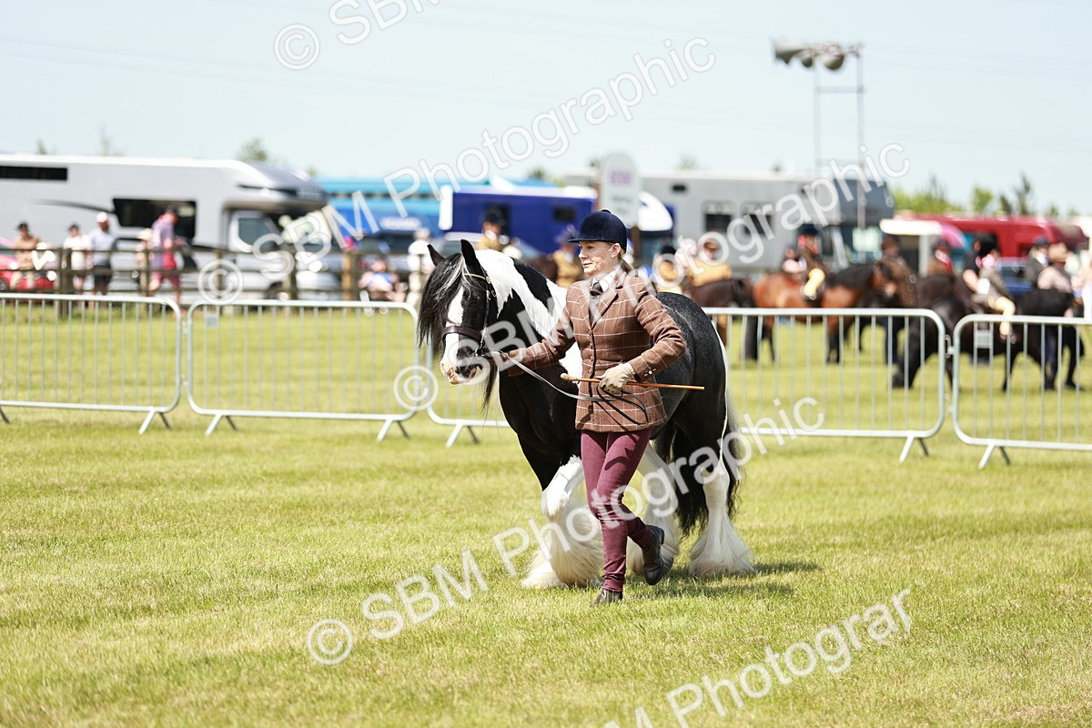 SBM_04241 - Class 39-40 - BSPA Coloured In Hand