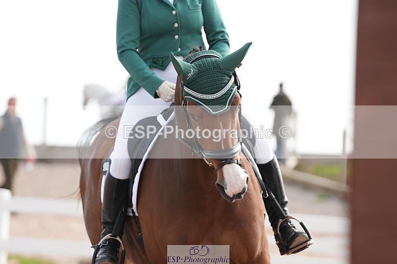 250906-095926-01399 - 001-Tracy.OKennedyWylye.Harlequin