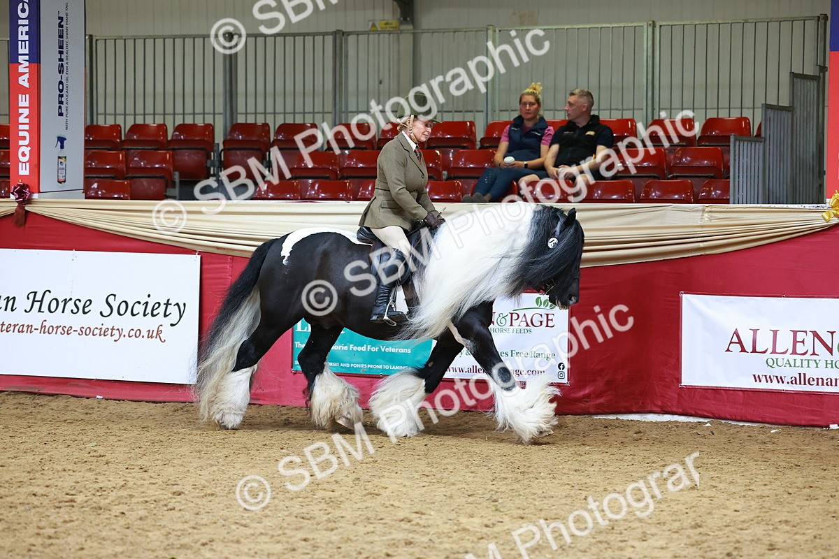 SBM_06158 - Class 12R - Ridden Pre-Vet