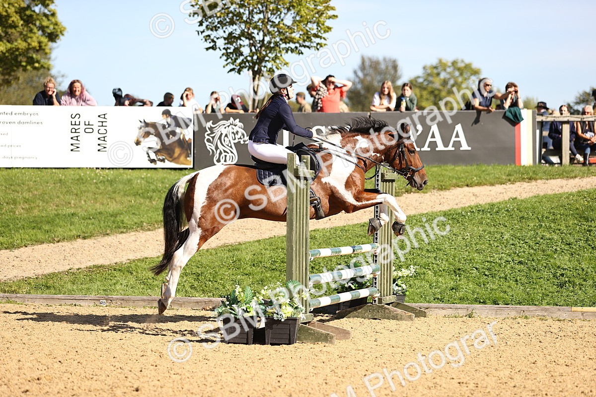 SBM_38283 - J39 - Senior 85cm Championship
