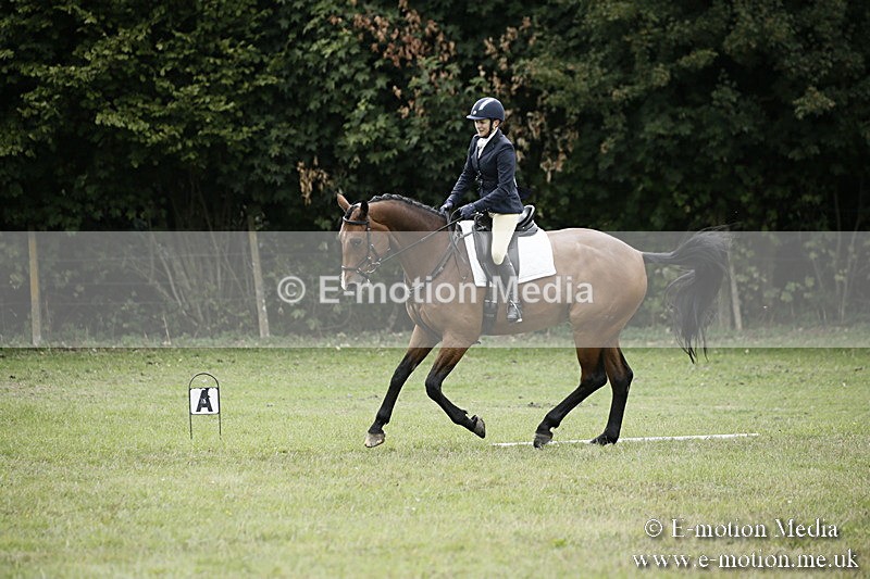 BVR080918 320 - BVRC Novice Dressage & CR 08/09/18