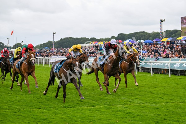 130724-Race 1-Blue For You-6951 - Race 1 2.00pm John Smith's Racing Handicap