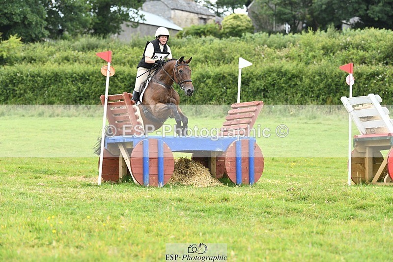 240630-123055-01077 - 915-Amanda_Wreford-Brown-Midsummer_Dazzle