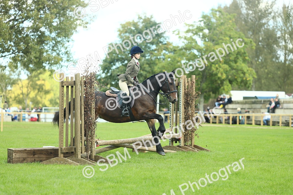 SBM_42036 - S29 - Novice & Newcomers Working Hunter Pony