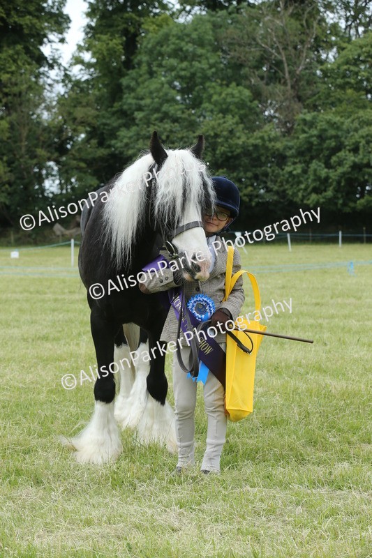 20260614-4331 - Class 18 - Best Junior Handler