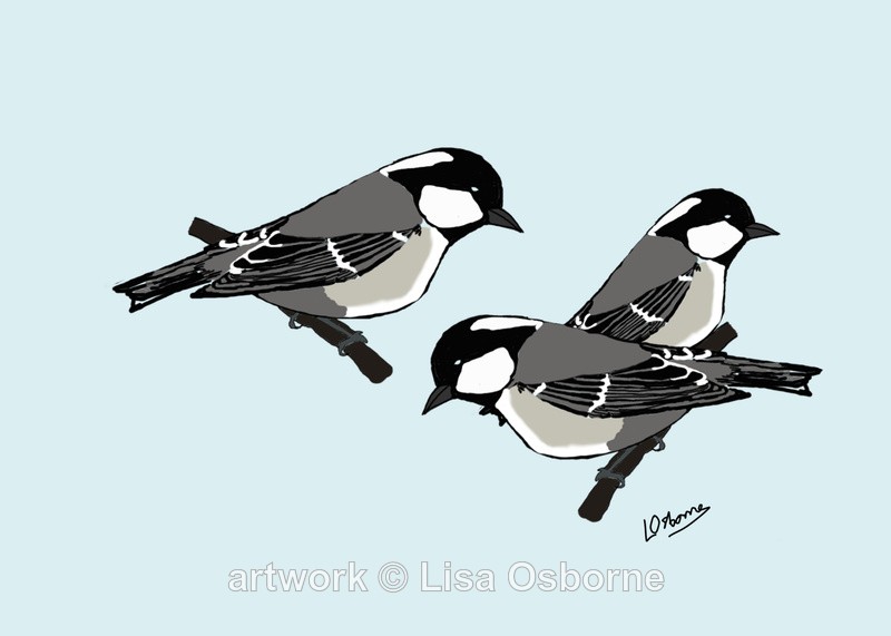 Coal Tits - DIGITAL ARTWORK