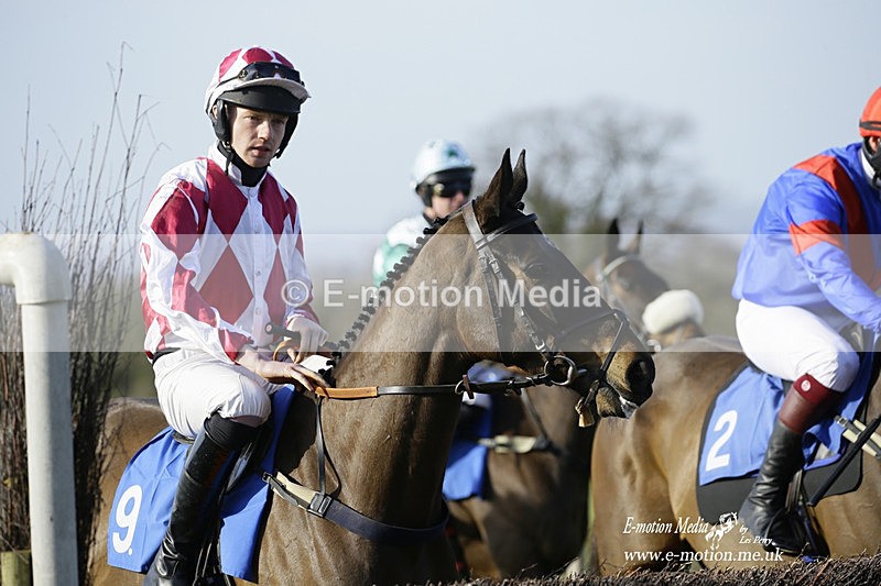 PtP 260222 673 - Kingston Blount Racing Club Point-to-Point 26/02/22