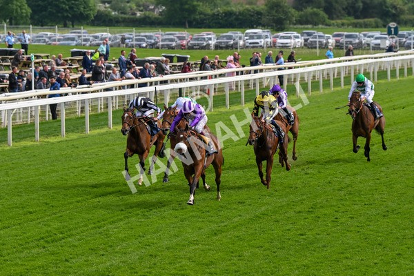 150524-Race 4-Secret Satire-4203 - Race 4 3.45pm Tattersalls Musidora Stakes