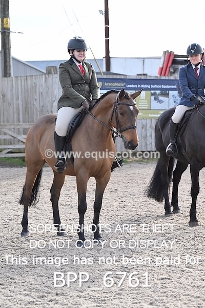BPP_6761 - RING 1  (RIDDEN HORSES / IN HAND / VETERAN ETC)