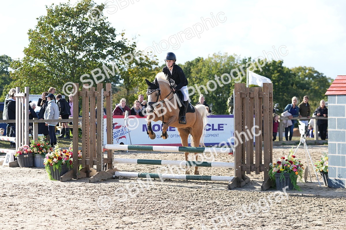SBM_49266 - J8 - Junior Pony 65cm Championship