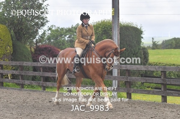JAC_9983 - CLASS 3 Intermediate Working Hunter (0.70m - 0.85m)