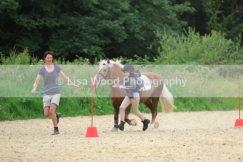 3E7A9346 - Walk trot run