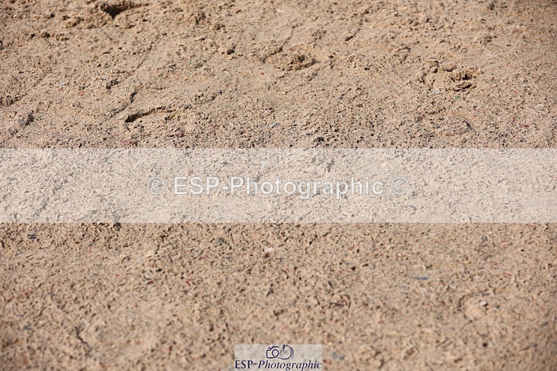 250427-100239-15218 - Cls 32 Young Horse 6yr old