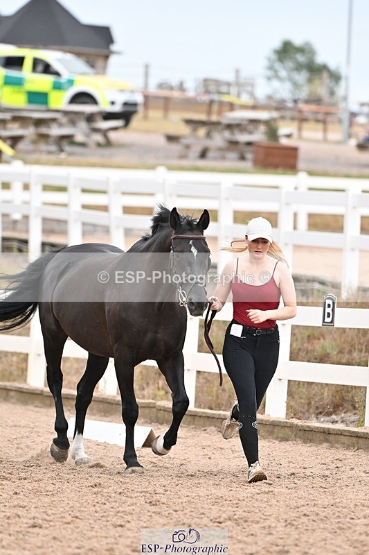 250716-161241-02498 - Trot Up 3.30 to 4.30