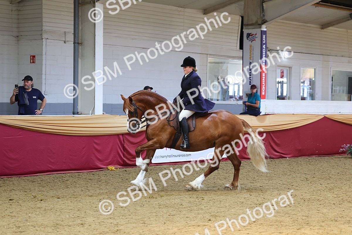 SBM_24570 - Class 906 - Supreme Final - Ridden Pre Vet