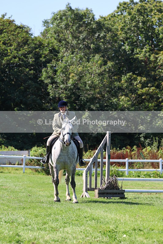 3E7A8258 - Class 4: Novice working Hunter