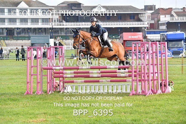 BPP_6395 - CLASS 1 Senior Newcomers/ 1.10m Open