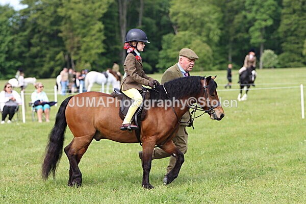 IMG_2309 - Working Hunter