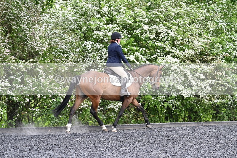 WJ7_8262 - Time 10:30 to 10:51