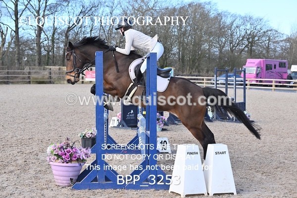 BPP_3253 - CLASS 2  Club/ Unaffiliated 80cms Open