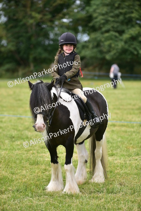 20260614-3708 - Class 15 - Prettiest Mare