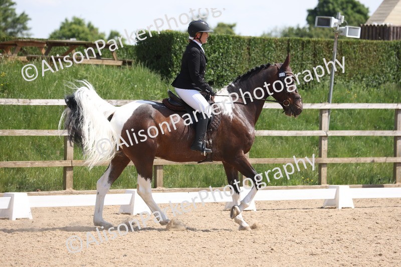 20250520-0820 - Class 5 - Novice 2