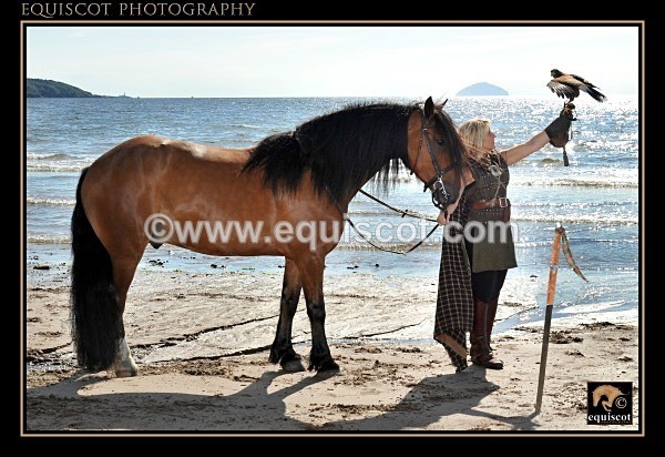 equiscot 1537 - MMi - Clan Wallace Movie Mercenaries International