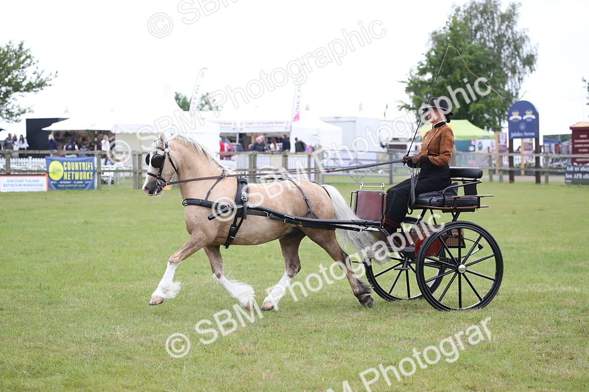 SBM_05638 - Class 12-15 - HOYS Private Driving