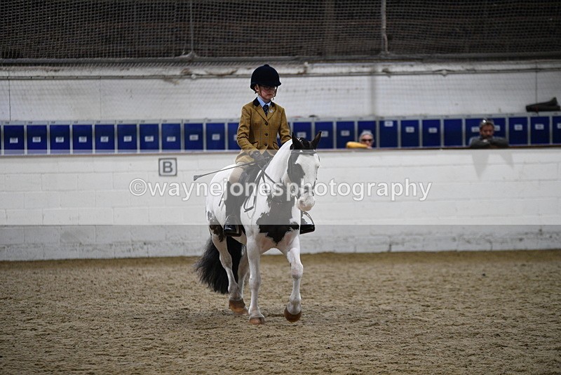 WJ5_7285 - Class 11 Ridden PC - RC Pony
