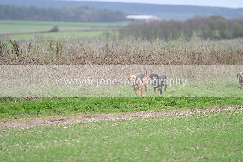 WJ7_2516 - Camera A