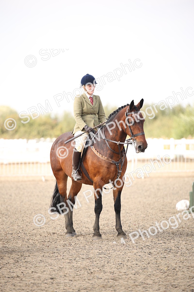 SBM_14344 - Class 407b - Working Veteran 60cm (20+)