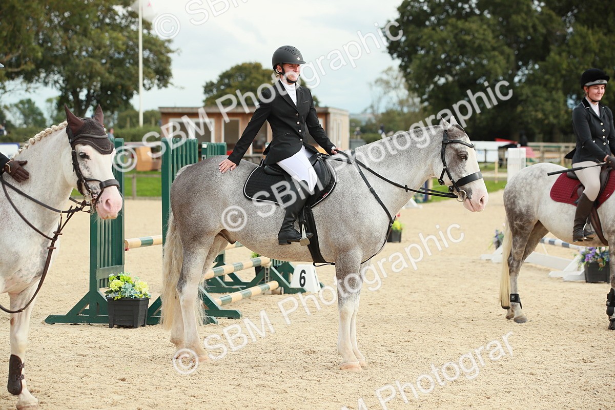SBM_10201 - J31 Senior 75cm Championship