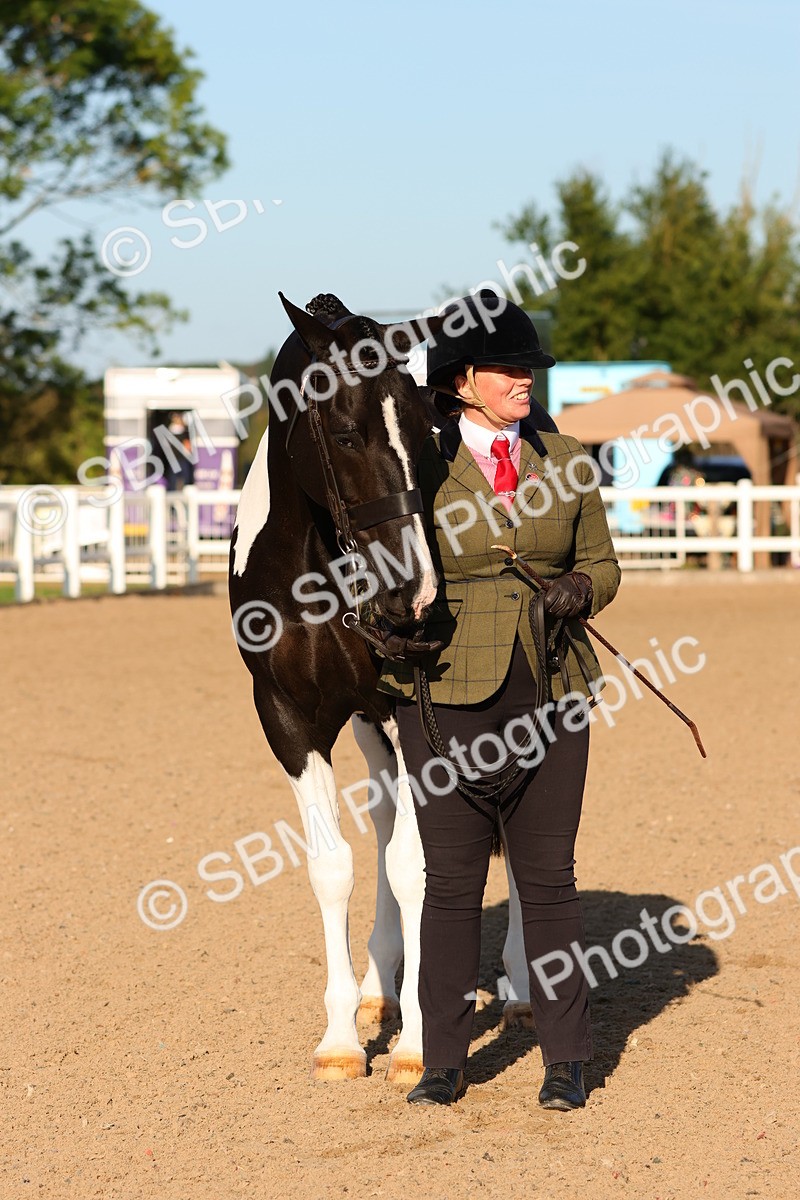SBM_08068