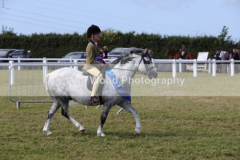 1X9A5510 - M&M Mini Ridden Championship