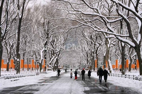  - Central Park